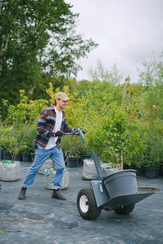 Gardener at work