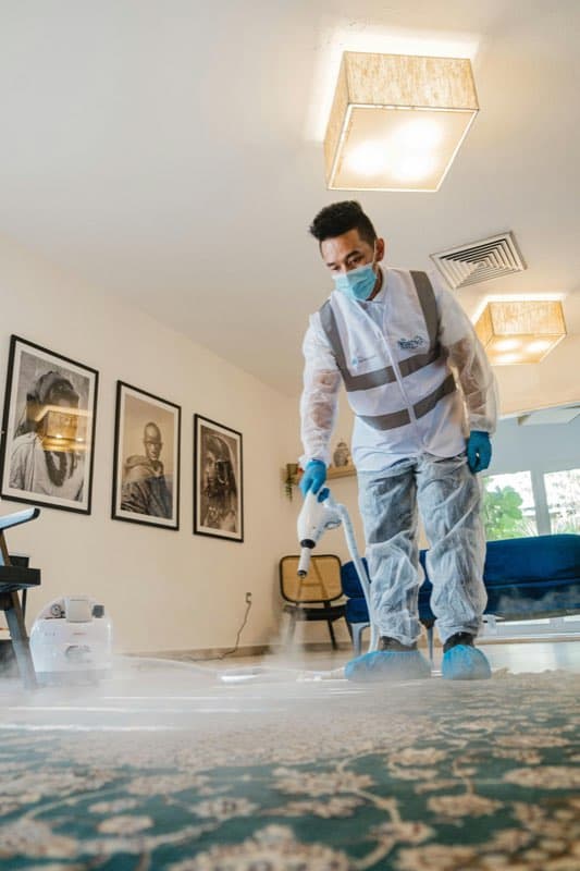Cleaner in protective clothing steam-cleaning a carpet